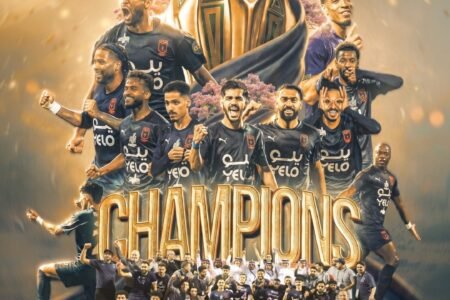 أبها يعود إلى دوري روشن للمحترفين بعد موسم حافل بالإثارة