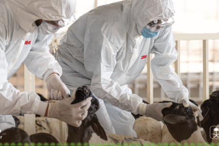 أضاحي يختتم المحاكاة الميدانية للجاهزية الصحية لموسم حج 1447هـ بمشاركة 6 جهات حكومية