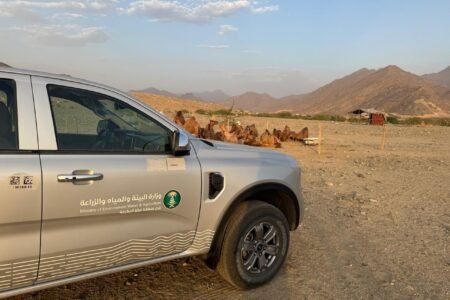 مكافحة البيع العشوائي تضبط مخالفات لبيع حليب الإبل في المغمس شرق مكة
